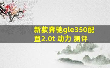 新款奔驰gle350配置2.0t 动力 测评